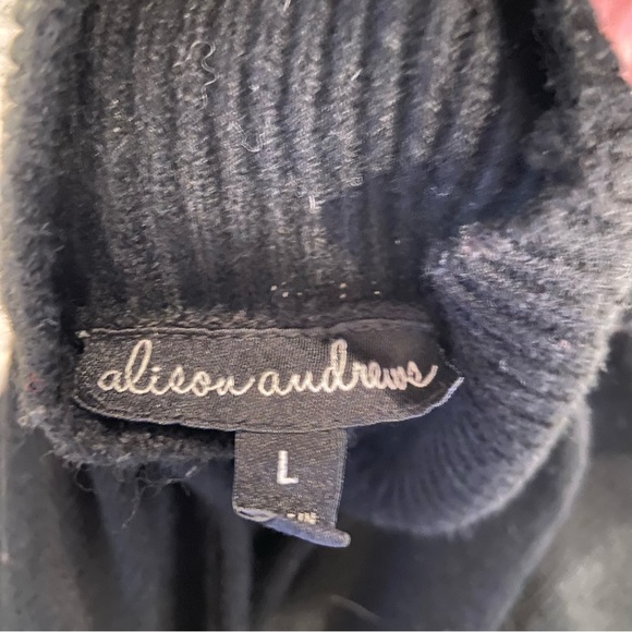 ALISON ANDREWS Colorblock Tie Bell Sleeve Sweater Turtleneck Large - Picture 6 of 7